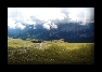 foto (4)